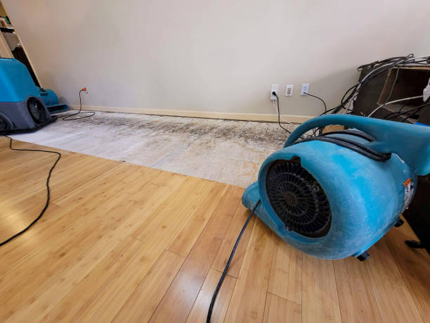 Professional Basement Flood Cleanup technician working in Wanaque, NJ